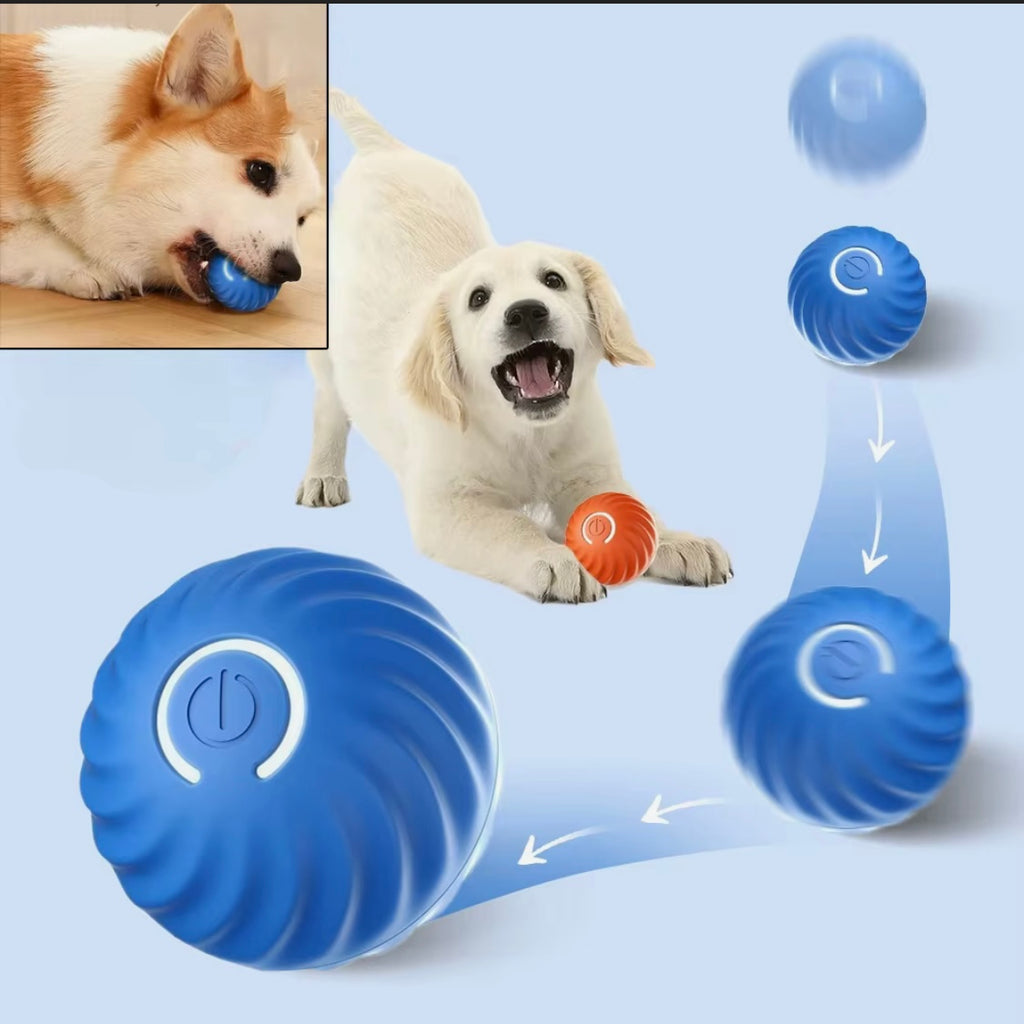Automatic and moving toy for dogs, jumping and rolling ball + chew ball