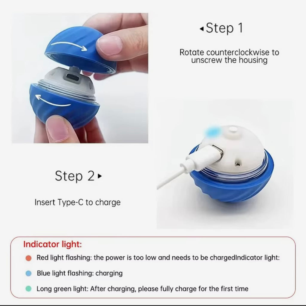 Automatic and moving toy for dogs, jumping and rolling ball + chew ball